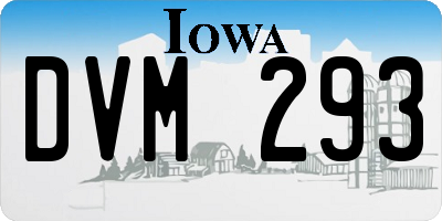 IA license plate DVM293