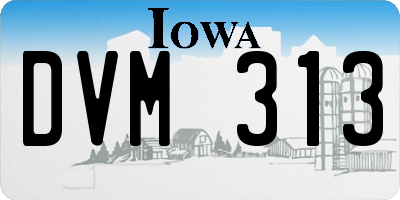 IA license plate DVM313