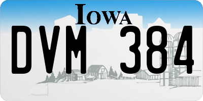 IA license plate DVM384