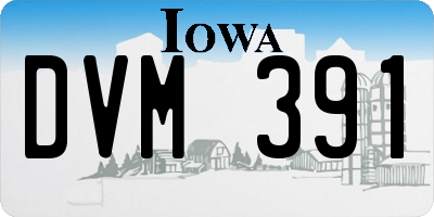 IA license plate DVM391
