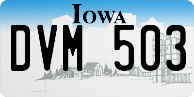 IA license plate DVM503