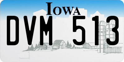 IA license plate DVM513