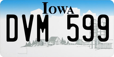 IA license plate DVM599