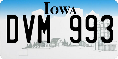 IA license plate DVM993