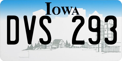 IA license plate DVS293