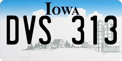 IA license plate DVS313
