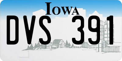 IA license plate DVS391