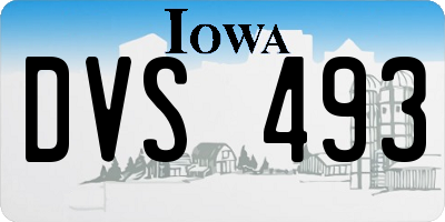 IA license plate DVS493
