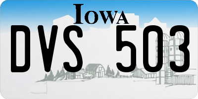 IA license plate DVS503