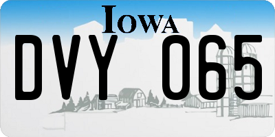 IA license plate DVY065