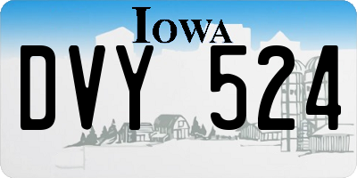 IA license plate DVY524
