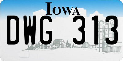 IA license plate DWG313
