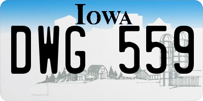 IA license plate DWG559