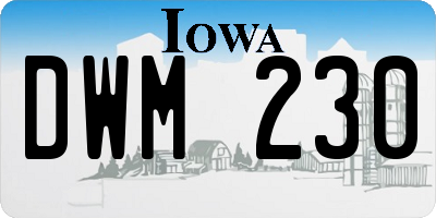 IA license plate DWM230