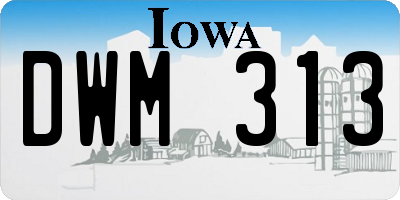 IA license plate DWM313