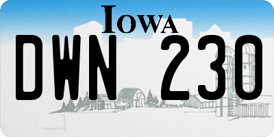 IA license plate DWN230