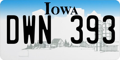IA license plate DWN393