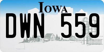 IA license plate DWN559
