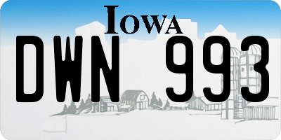 IA license plate DWN993
