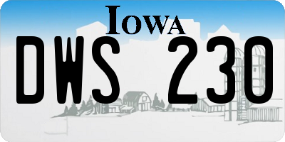 IA license plate DWS230