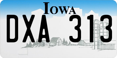 IA license plate DXA313