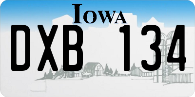 IA license plate DXB134
