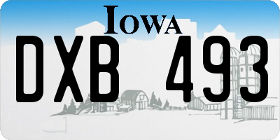 IA license plate DXB493