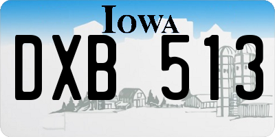 IA license plate DXB513