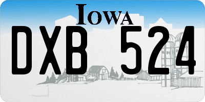 IA license plate DXB524
