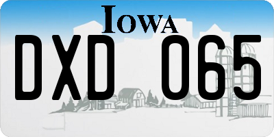 IA license plate DXD065