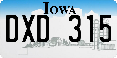 IA license plate DXD315