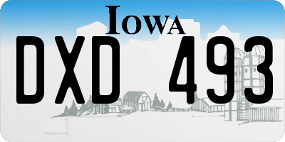 IA license plate DXD493