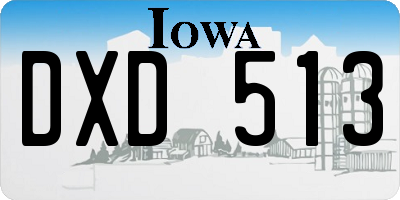 IA license plate DXD513