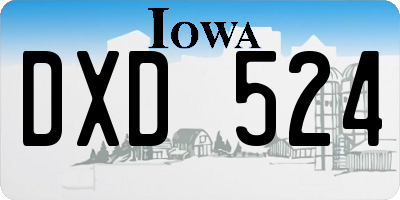 IA license plate DXD524