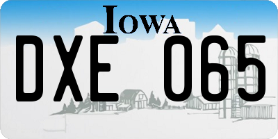 IA license plate DXE065