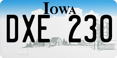 IA license plate DXE230