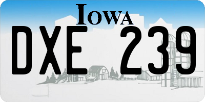 IA license plate DXE239