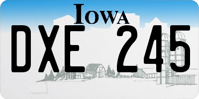 IA license plate DXE245