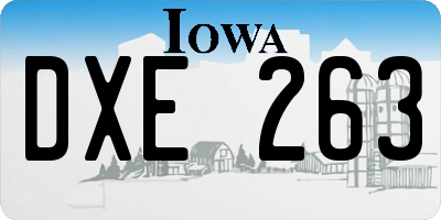 IA license plate DXE263