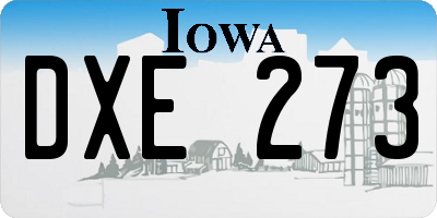 IA license plate DXE273