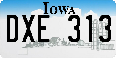 IA license plate DXE313