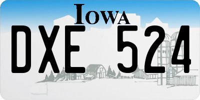 IA license plate DXE524