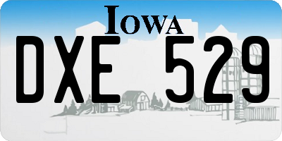 IA license plate DXE529