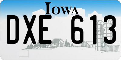 IA license plate DXE613