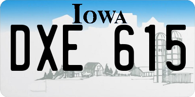 IA license plate DXE615