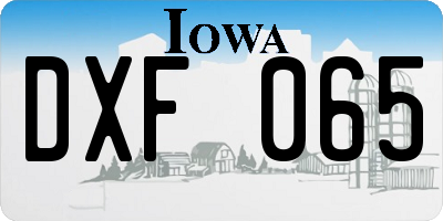 IA license plate DXF065