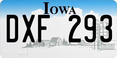 IA license plate DXF293