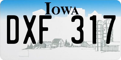 IA license plate DXF317