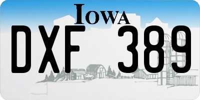 IA license plate DXF389