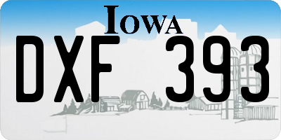 IA license plate DXF393